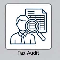 Tax Audit